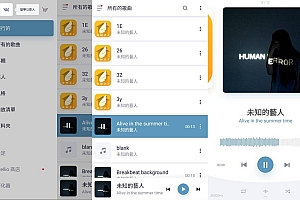 Stellio Player 蜥蜴音乐播放器v6.3.1