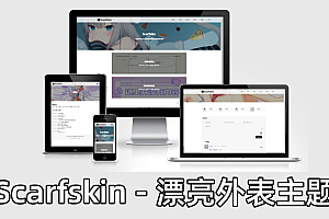 一款拥有漂亮外表的Typecho简洁主题_Scarfskin