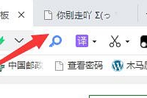 关于 你又回来啦 你别走吖等网页动态标题代码 教程