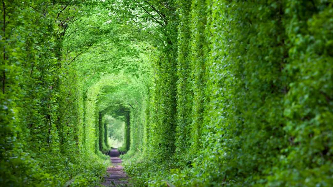 乌克兰 梦幻般的爱情隧道 绿树和铁路4k风景壁纸 -静鱼客栈