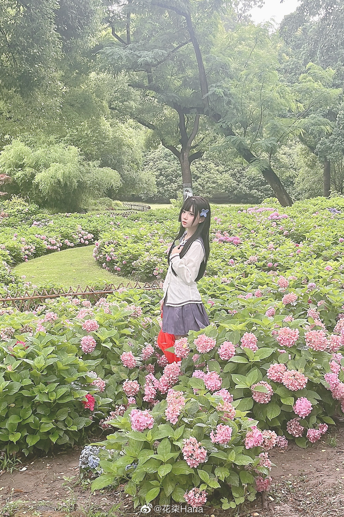 就像是柔软的心灵会发出暖暖花火,如此美好插图 就像是柔软的心灵会发出暖暖花火,如此美好