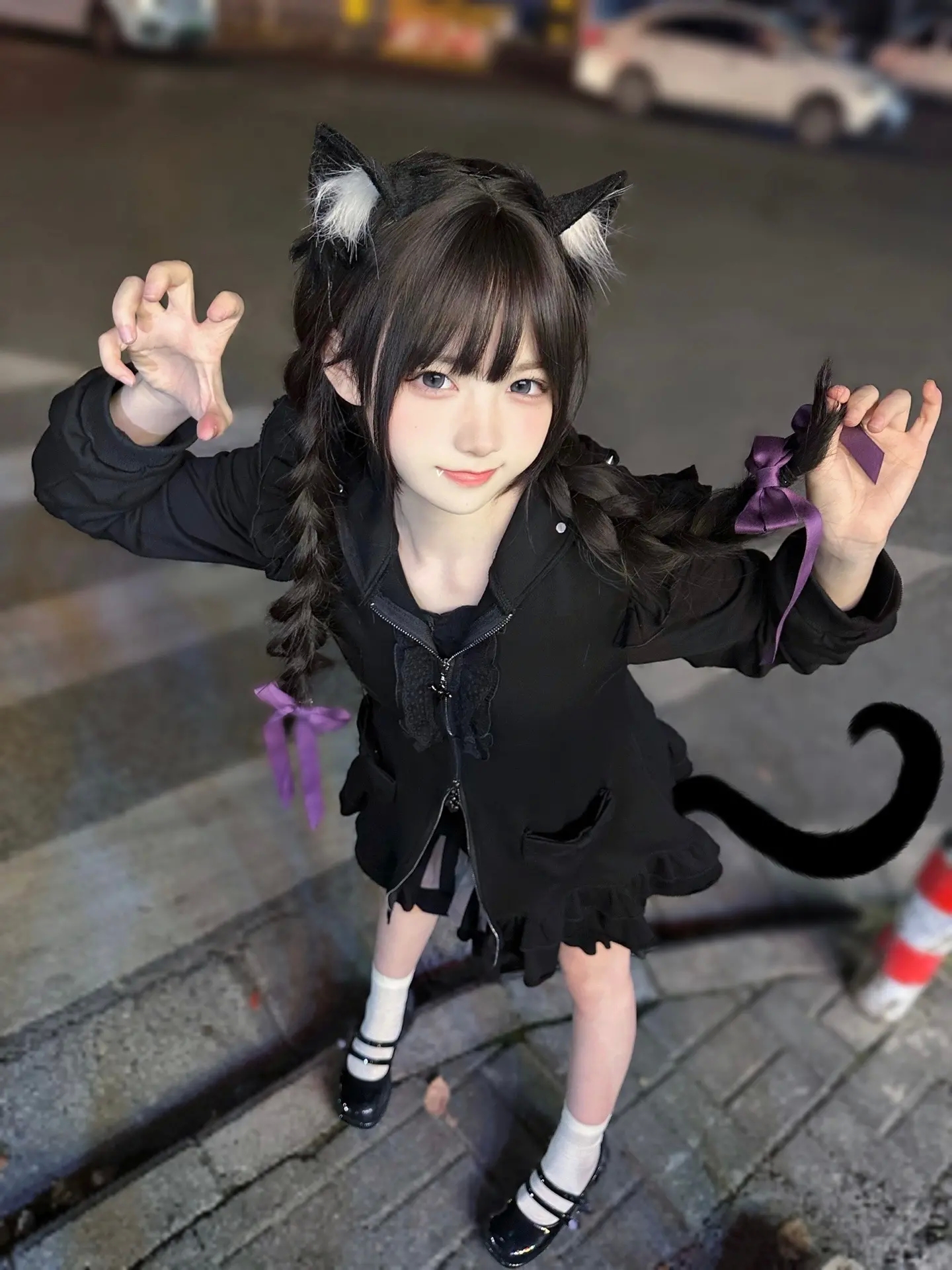 ^ ̳- ‧̫ • ̳^ฅ晚上好!我可爱的老婆们,和愚蠢的人类插图 ^ ̳- ‧̫ • ̳^ฅ晚上好!我可爱的老婆们,和愚蠢的人类